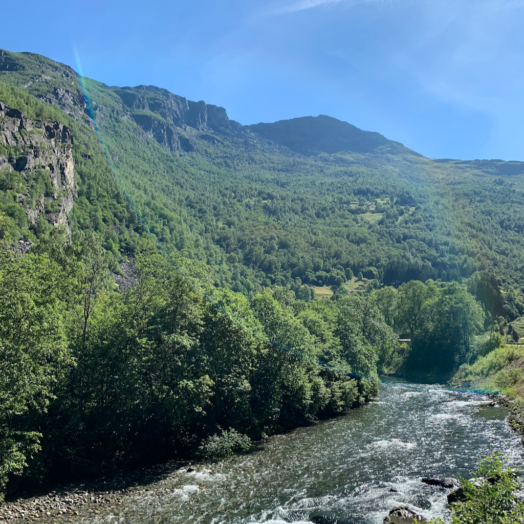 Fors och bergsvy i Flåms i Norge