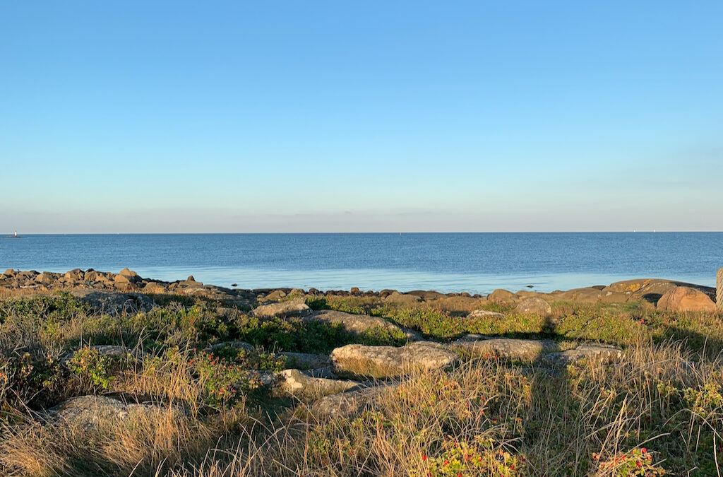 Kära Varberg