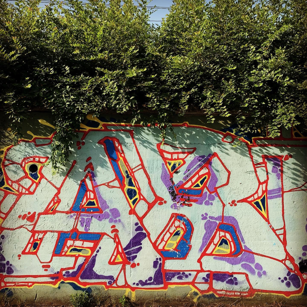 Streetart i form av stora grafiska bokstäver i Quartier dell Ortica i Milano på en mur med växtlighet ovantill.