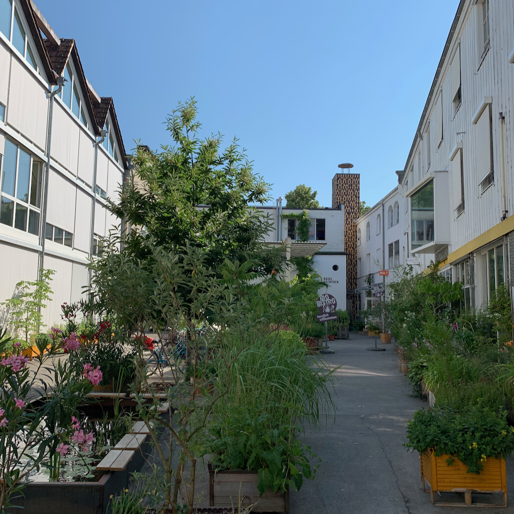En välkomnande grön gård vid vandrarhemmet Basel Backpack i Schweiz