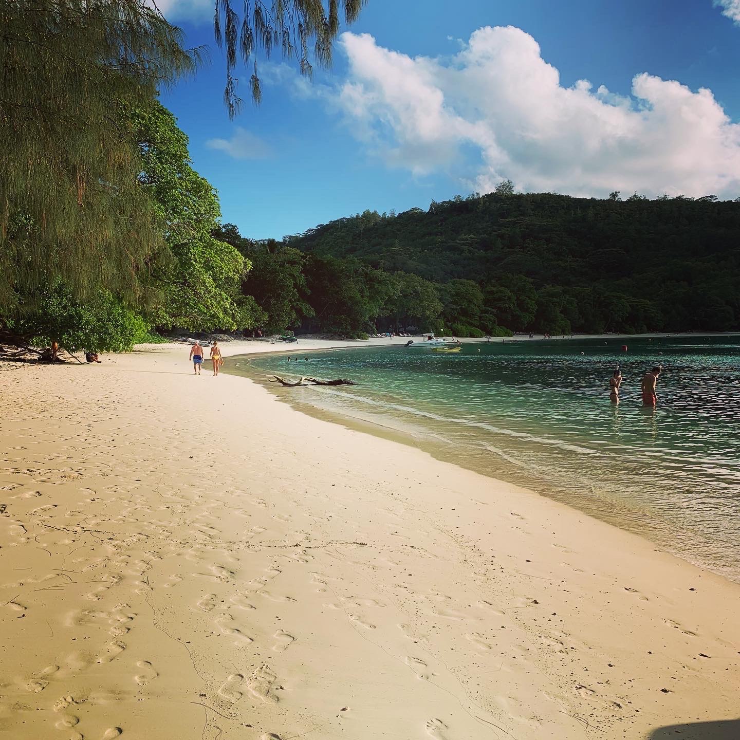 En paradisstrand på Mahe, Seychellerna som heter Port Launay Marine National Park