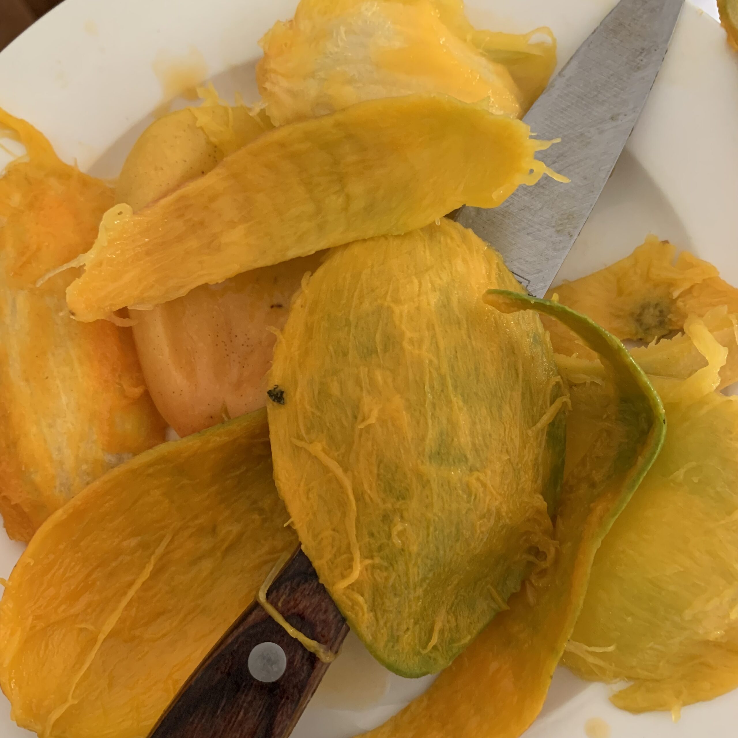 Skal och kärnor från en frukt frukost på Mahé, Seychellerna