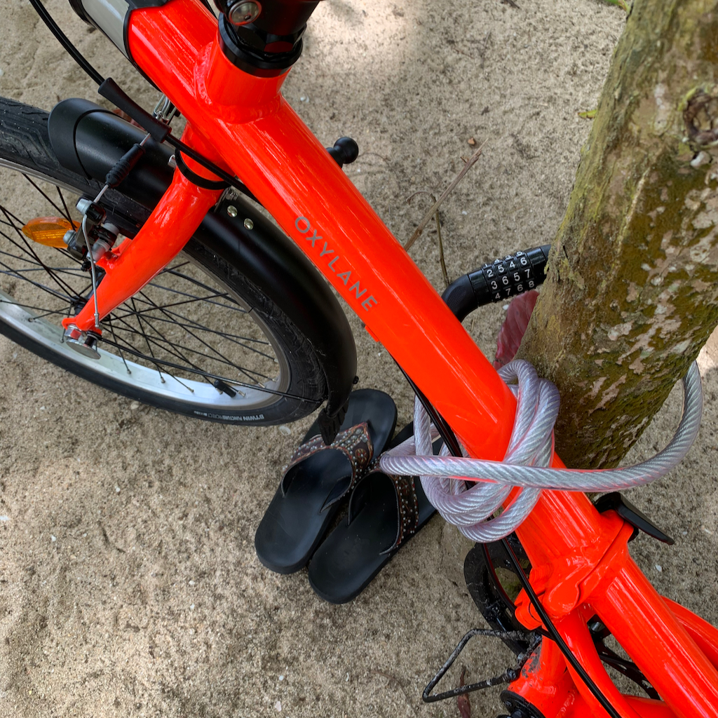 En cykel som är fastlåst vid ett träd