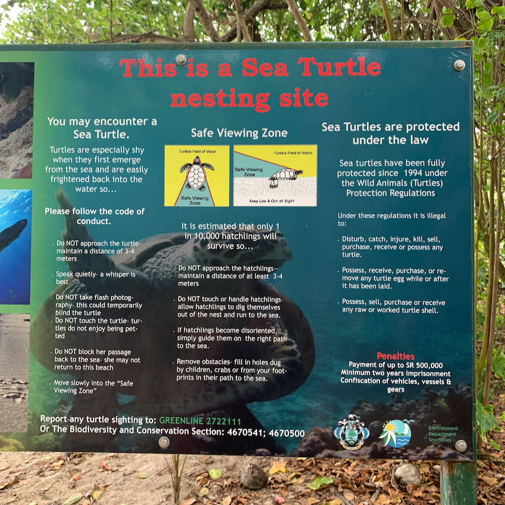 En informationsskylt om hur man skall bete sig om man möter på eller ser en havssköldpadda så att man inte stör dem vid stranden Anse Intendance på Mahé, Seychellerna.