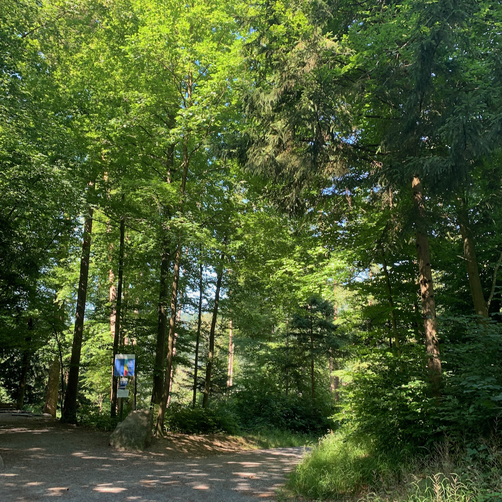 En grusad promenad- och cykelväg i ett stadsnära naturreservat i Zürich Schweiz