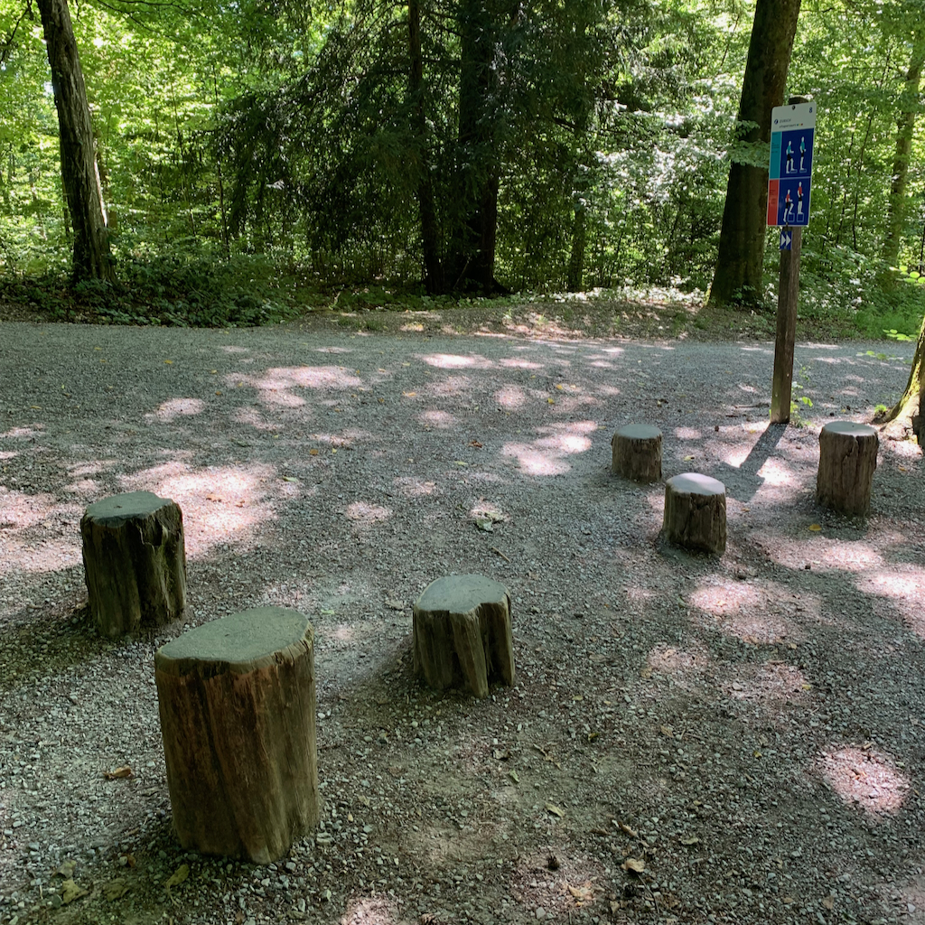Ett utegym bestående av några nedgrävda stubbar i ett stadsnära naturreservat i Zürich Schweiz