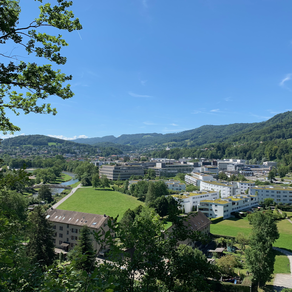 Ett modernt bostadsområde med gröna tak beläget i en dal i en förort till Zürich i Schweiz