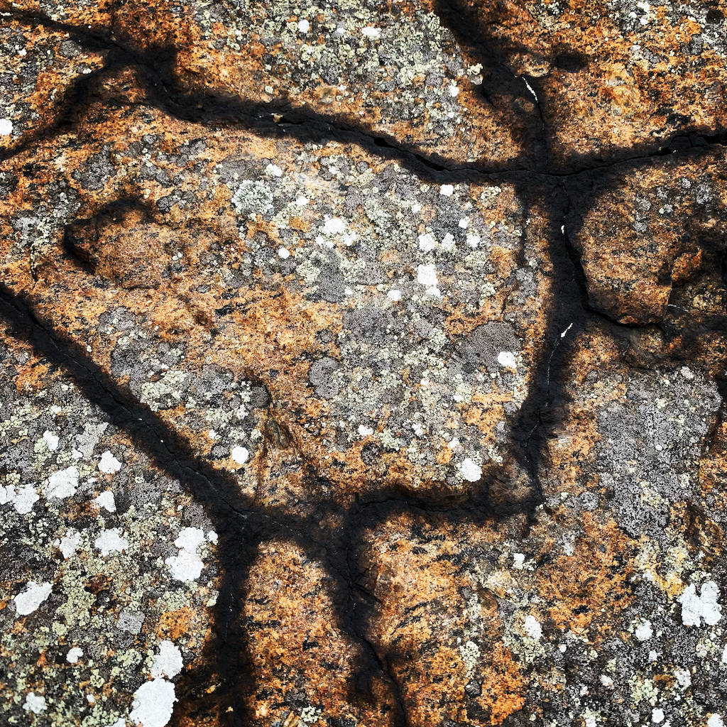 Vackra sprickor i en granitsten i Varberg