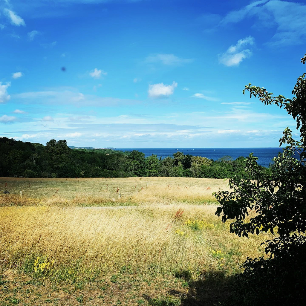 Utsikt över en sommaräng, lövskog, blått hav och himmel från ett av fönstrena på Bornholm Kunstmuseum i Danmark