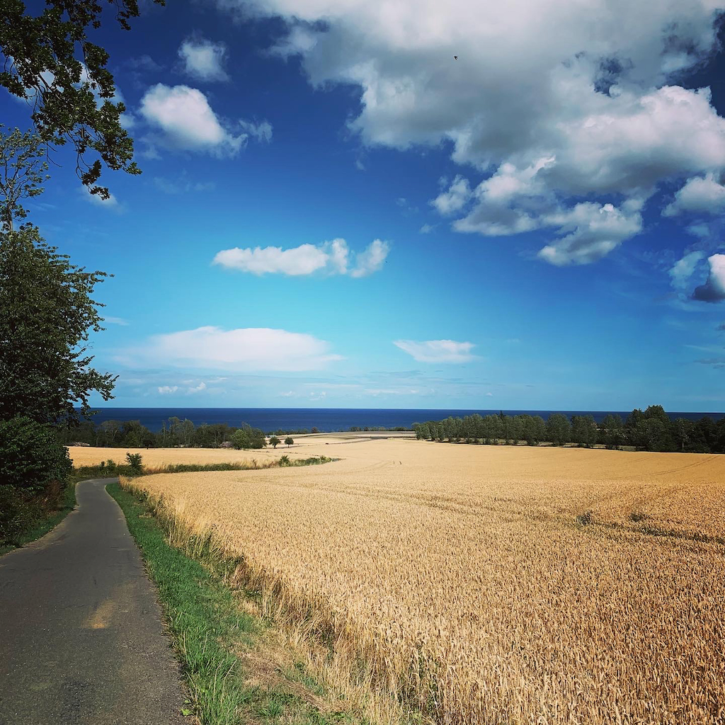 En cykelväg mellan havet och fälten på sträckan mellan Gudhjem och Svaneke på Bornholm i Danmark