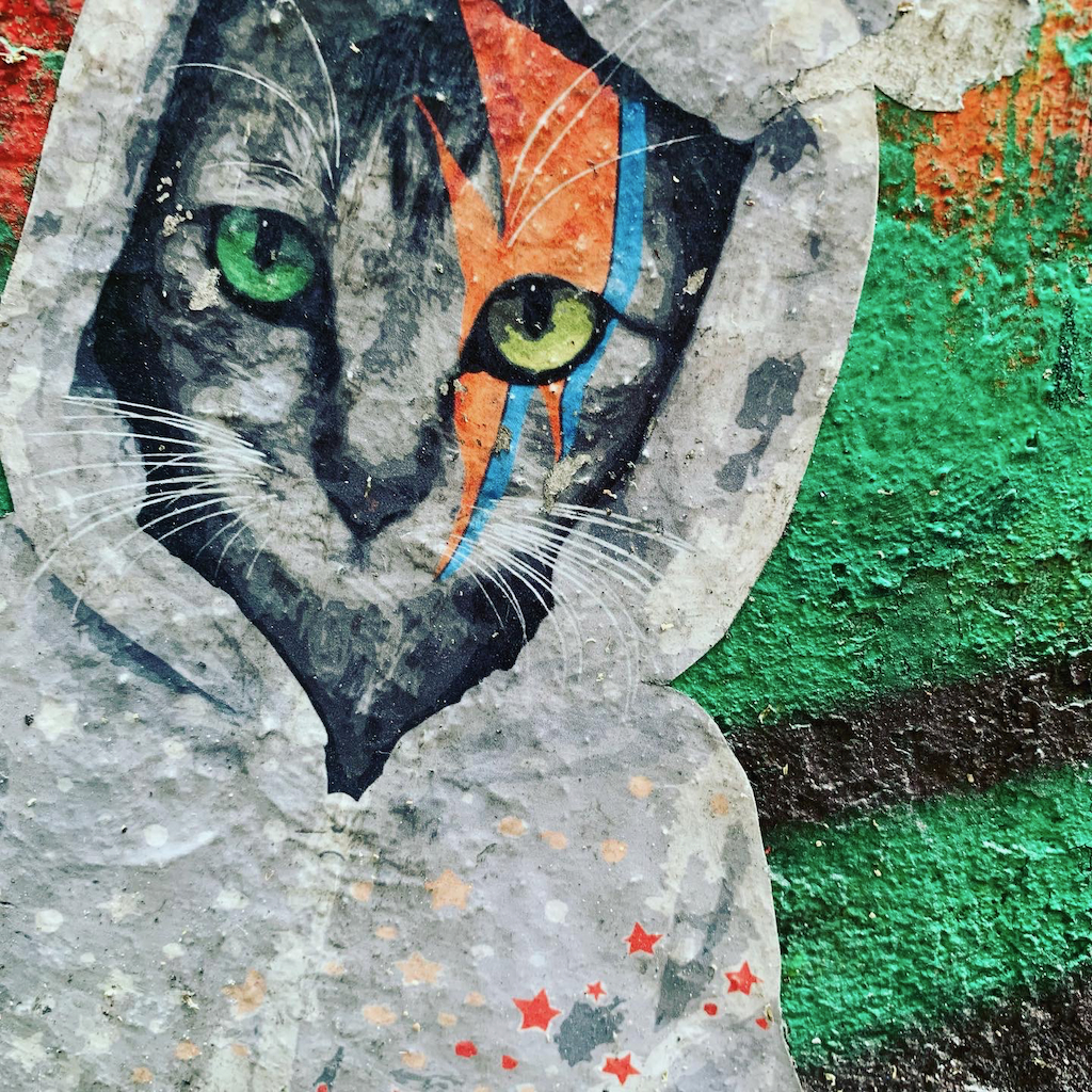 Väggkonst förställande en katt med gröna ögon på Haus Schwarzenberg i Berlin Tyskland