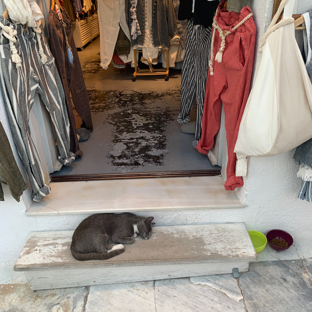 En katt som ligger och sover i ingången till en butik i Oia på Santorini i Grekland