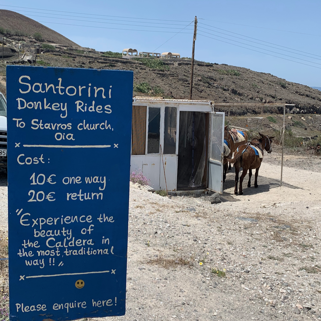 Åsneturer och oetisk djurturism på vandringsleden mellan Fira och Oia på Santorini i Grekland