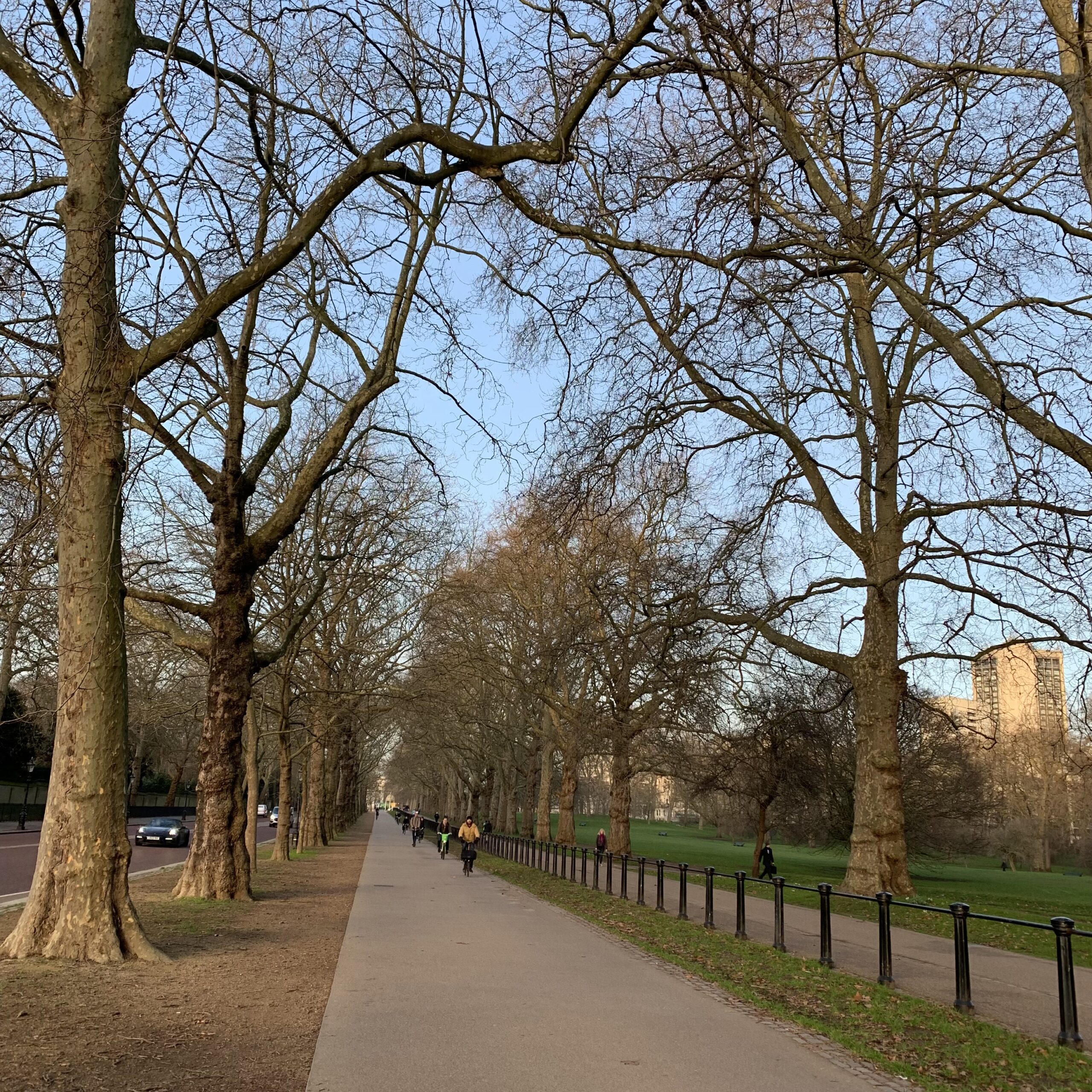 En separat cykelväg genom en park i London, där filerna för bilarna och cyklisterna är åyskilda med en gräsrefug och träd. 