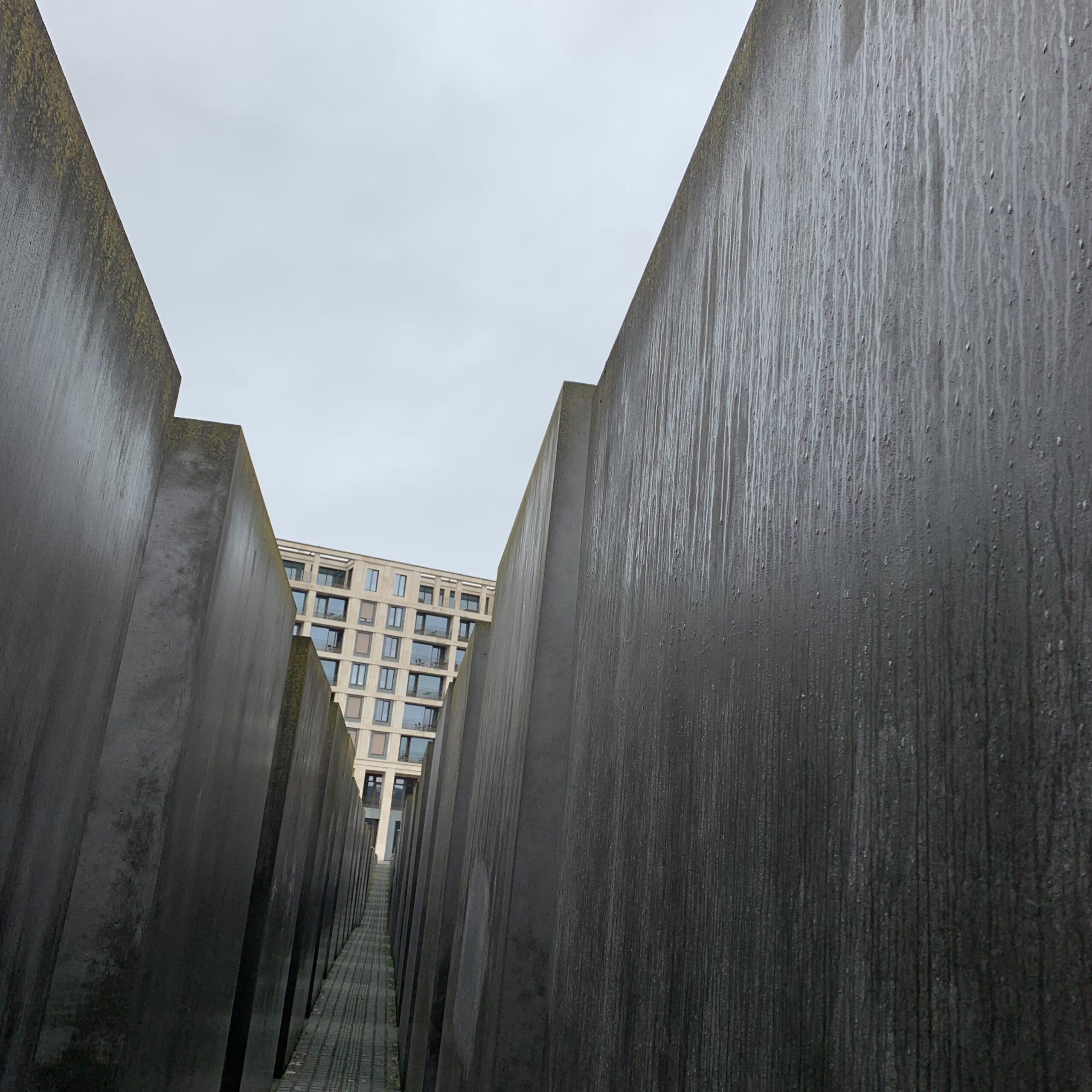 Minnesplatsen med ett kvarter av betongklossar i ett rutnät för de under förintelsen mördade judarna i Berlin.