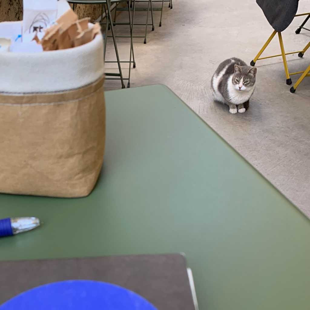 En digital nomad med sin uppslagna dator på ett cafebord, med en katt i bakgrunden i Aten i Grekland.