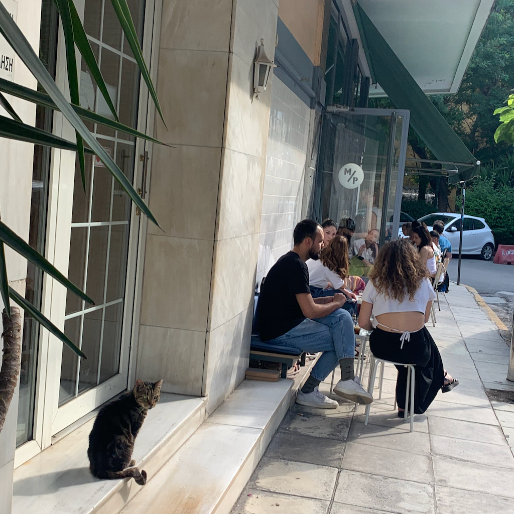 En herrelös katt som adopterats av kvarteret och Bar Bel Rey in området Koukaki i Aten.