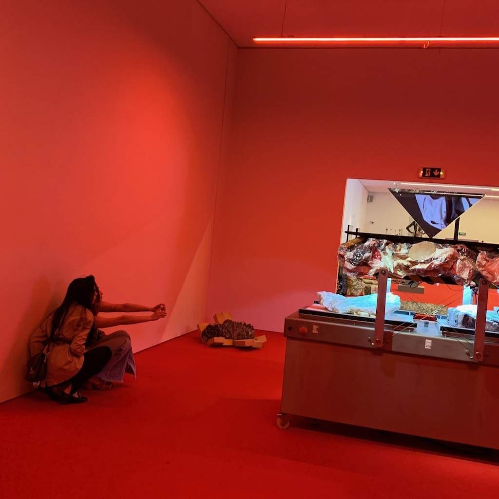 Konstverk av den belgiska konstnären Danai Anesiadou, som hänger på National Museum of Contemporary Art -EMST, i Aten, Grekland.