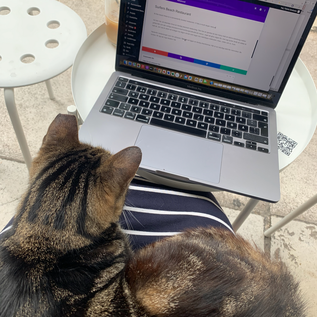 En digital nomad med sin uppslagna dator på ett cafebord, och en katt i knät på Bel Ray Bar i Aten i Grekland.