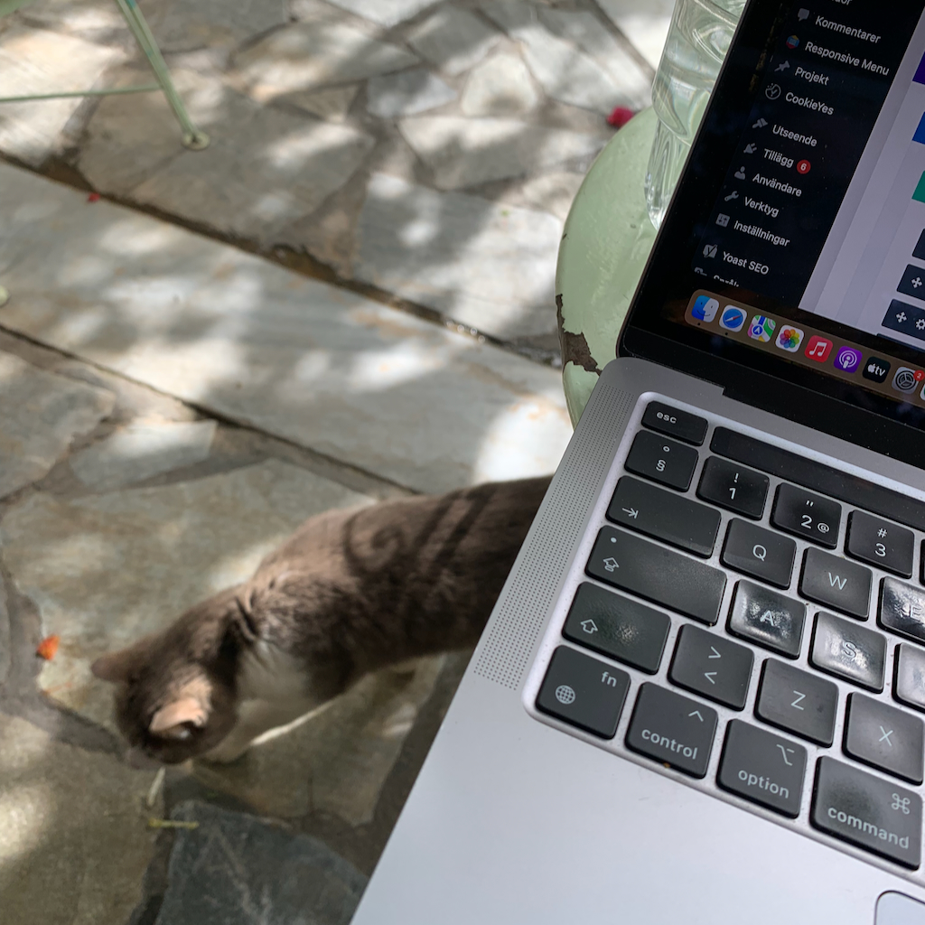 En digital nomad med sin uppslagna dator på ett cafebord, med en katt i bakgrunden i Aten i Grekland.